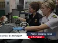 Co można przewieźć do Norwegii? Ograniczenia i ważne informacje