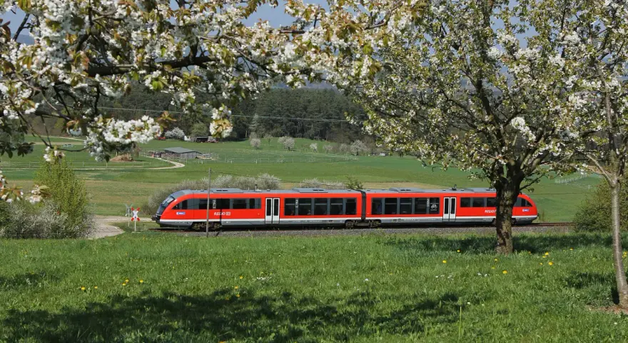 Czerwony pociąg REGIO mija kwitnące drzewa. Może to pociąg do Budapesztu?